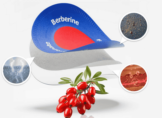 natural metabolism booster patch